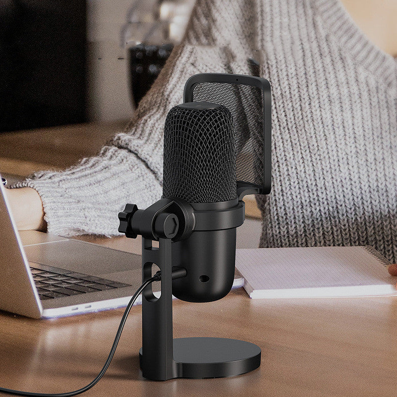 Rat-Aux Professional Mic