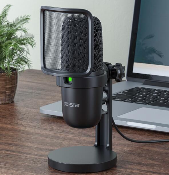 Rat-Aux Professional Mic