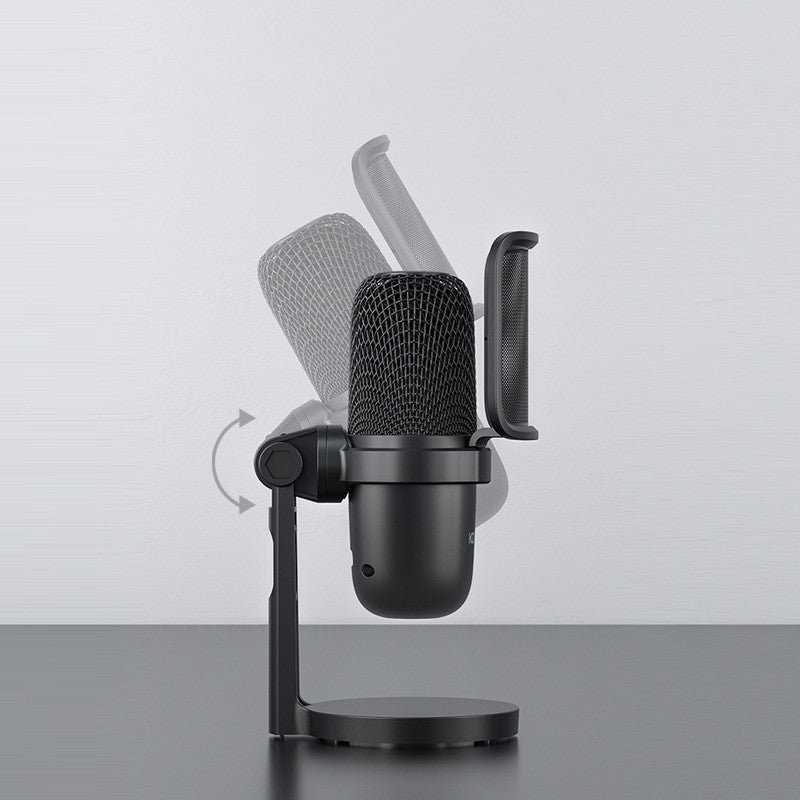 Rat-Aux Professional Mic